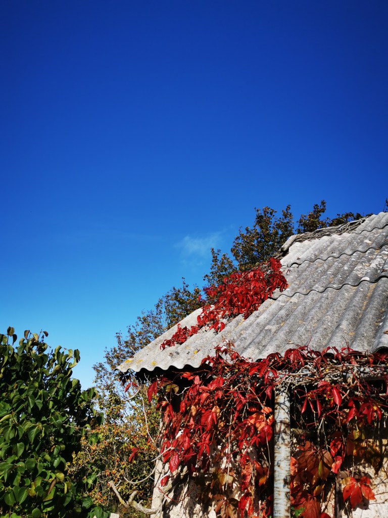 スウェーデンの島に暮らす
