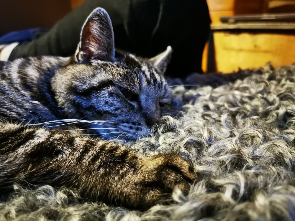 スウェーデンの島に暮らす