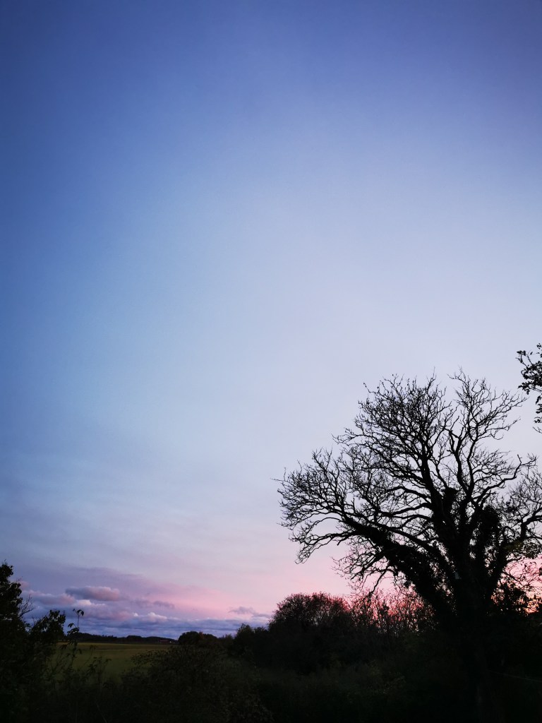 スウェーデンの島に暮らす