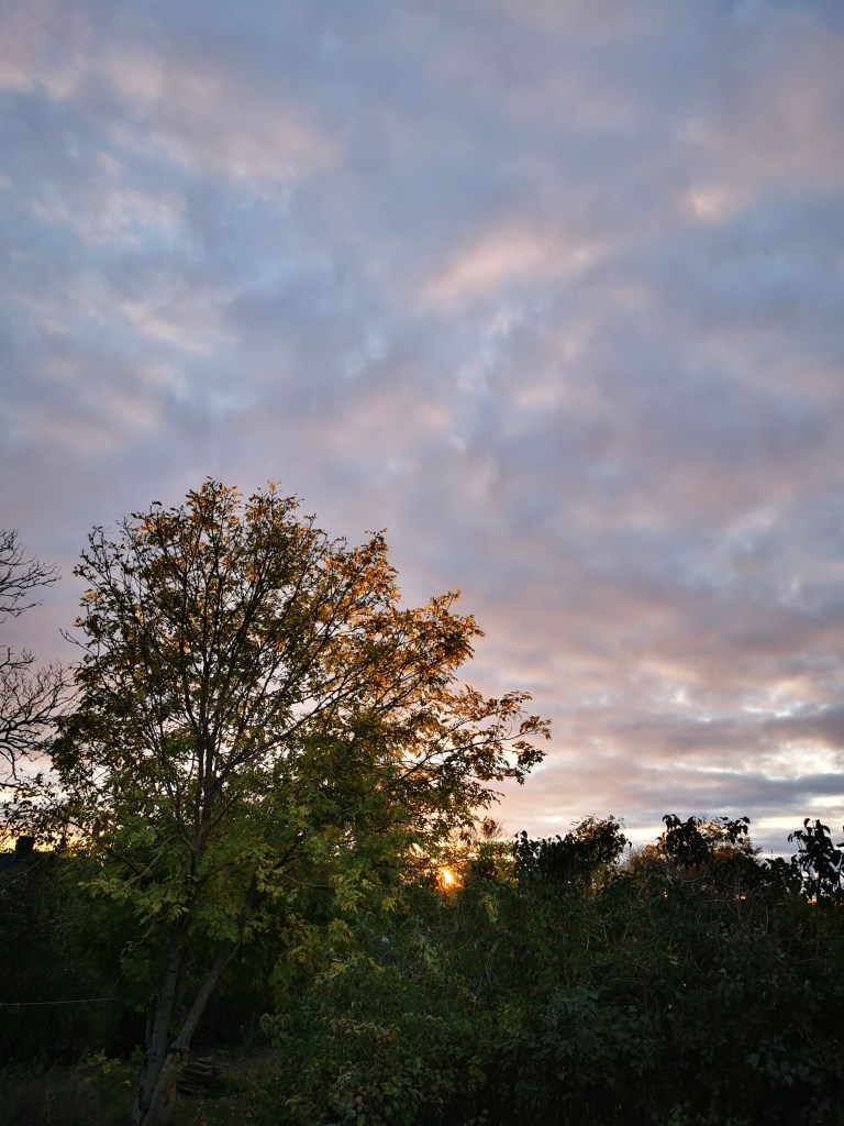 スウェーデンの島に暮らす
