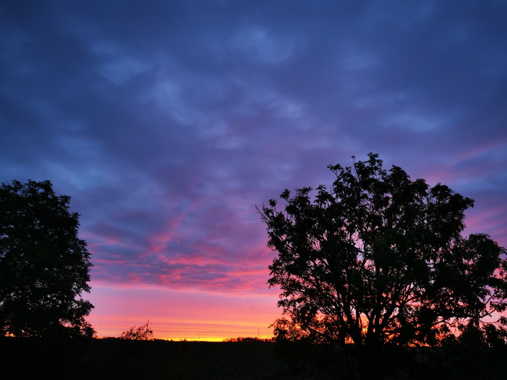 スウェーデンの島に暮らす