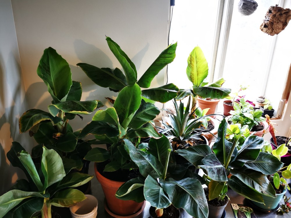 スウェーデンの島に暮らす