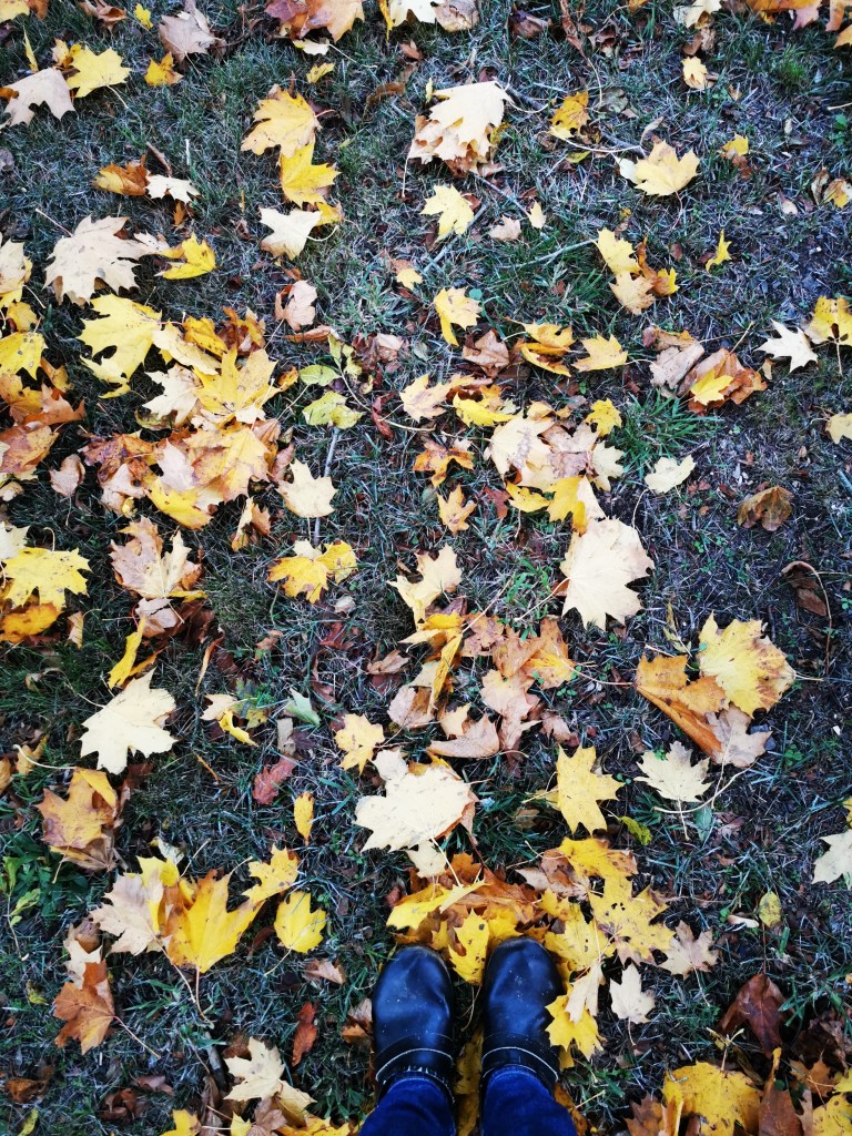 スウェーデンの島に暮らす