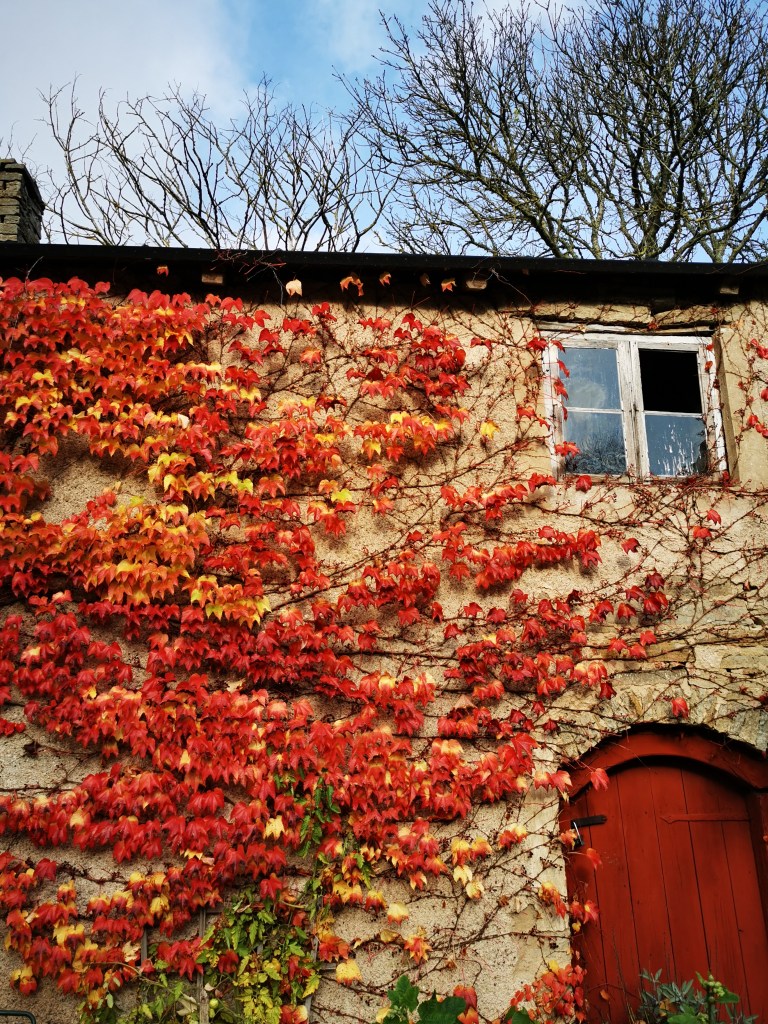 スウェーデンの島に暮らす