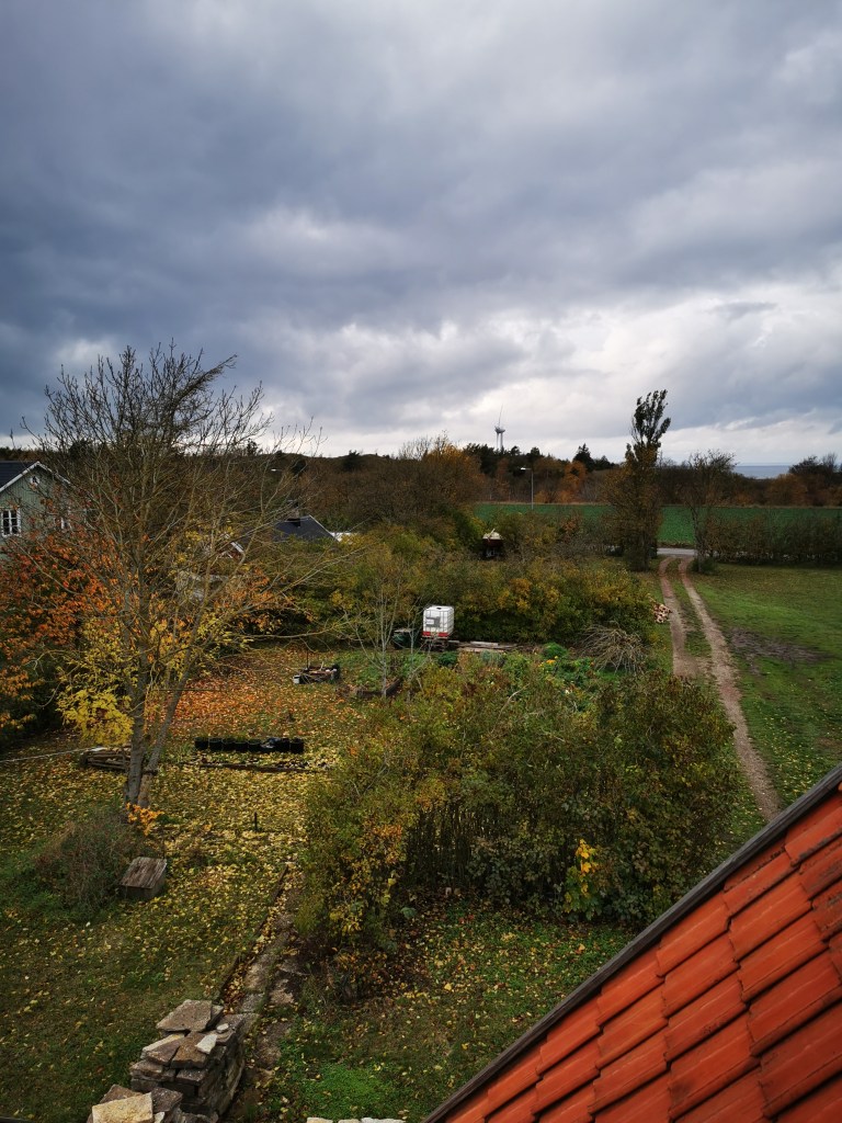 スウェーデンの島に暮らす