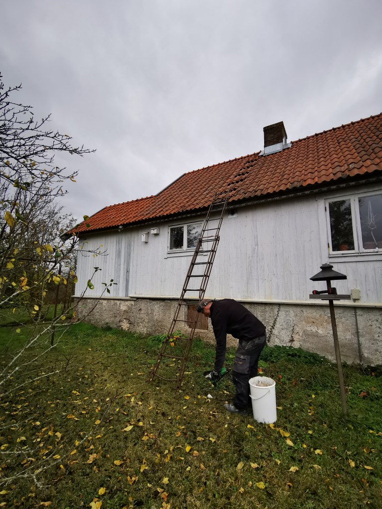 スウェーデンの島に暮らす
