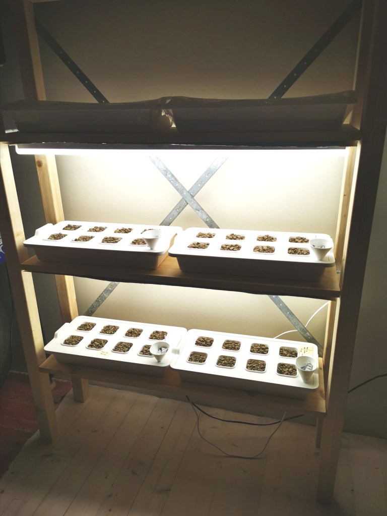 スウェーデンの島に暮らす