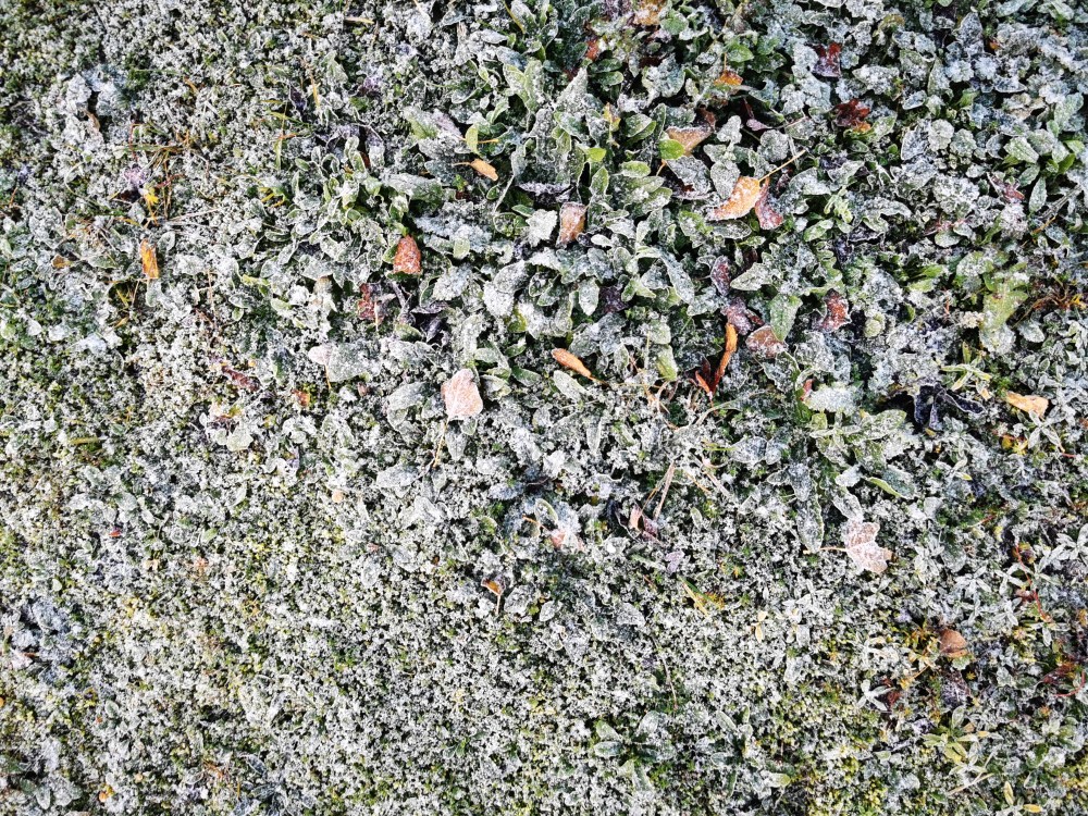 スウェーデンの島に暮らす