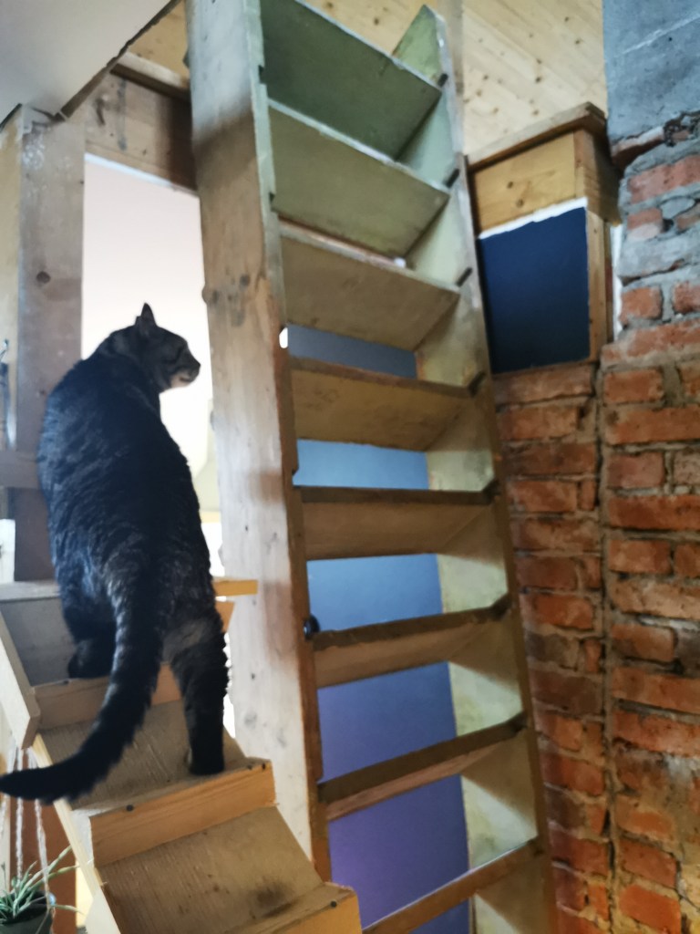 スウェーデンの島に暮らす