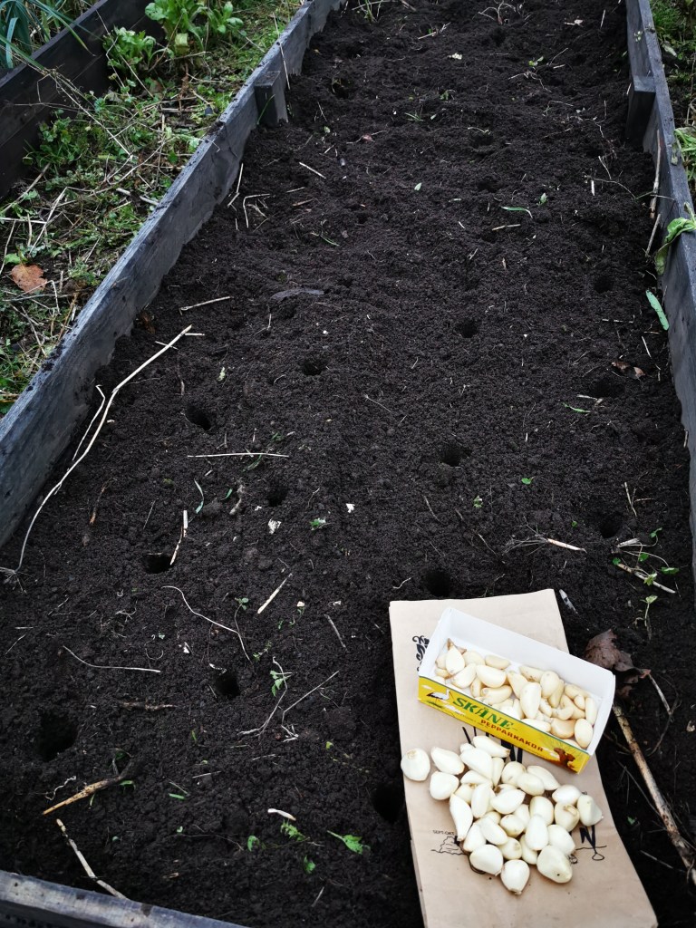 スウェーデンの島に暮らす