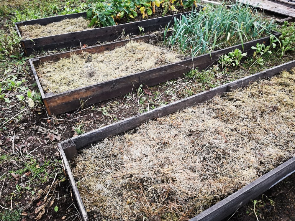 スウェーデンの島に暮らす