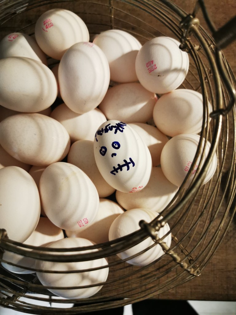 スウェーデンの島に暮らす