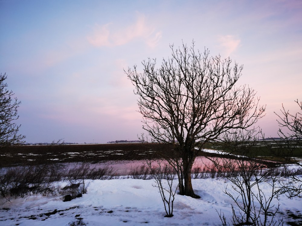 スウェーデンの島に暮らす