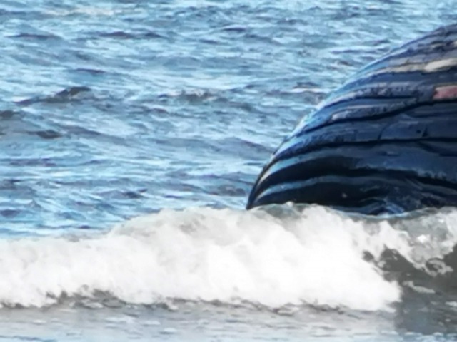 スウェーデンの島に暮らす