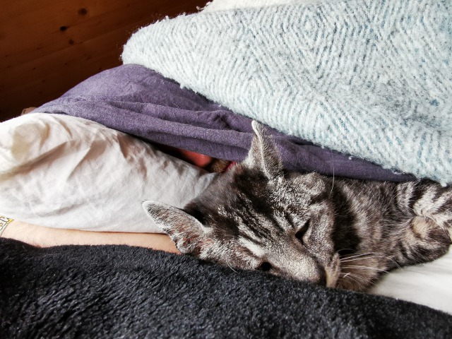 にほんブログ村 海外生活ブログ スウェーデン情報へ