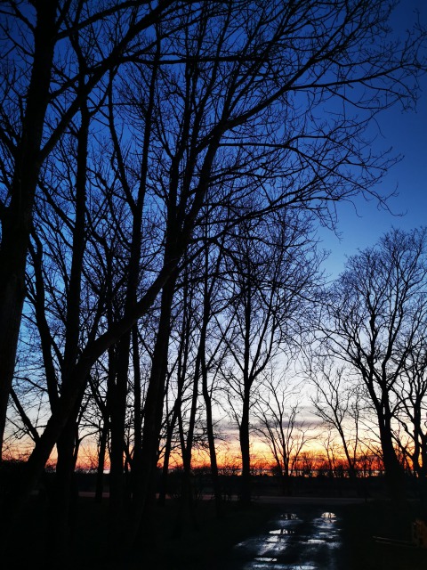 スウェーデンの島に暮らす